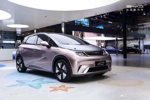 比亚迪爆料博主事件视频,揭秘背后真相与争议